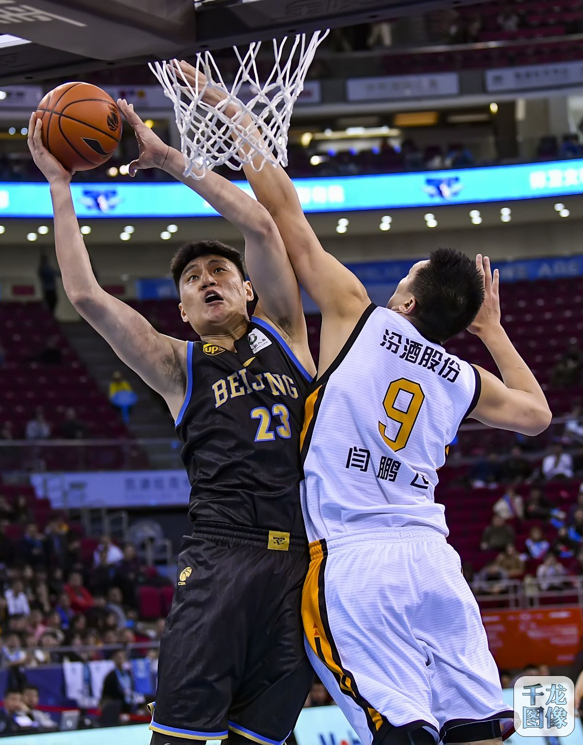 体育界知名 体育界知名